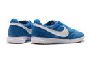 Chuteira Nike Futsal Premier II sala IC